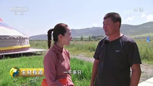 生财有道 《生财有道》 20190830 生态中国草原行  内蒙古科右前旗：牵手大草原 相约那达慕