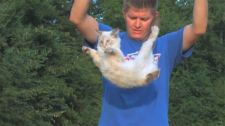 为何猫咪摔不死？在100倍慢镜头下观察，结果令人不可思议！