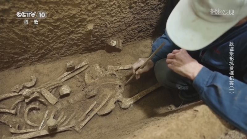 《探索·发现》 20260317 2026考古进行时：殷墟祭祀坑发掘纪实（1）