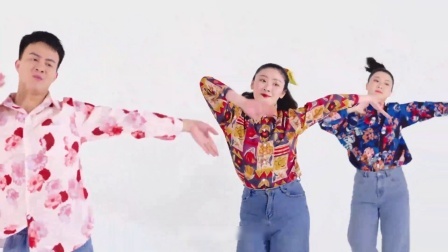 你要跳舞吗-毕刚（导视）