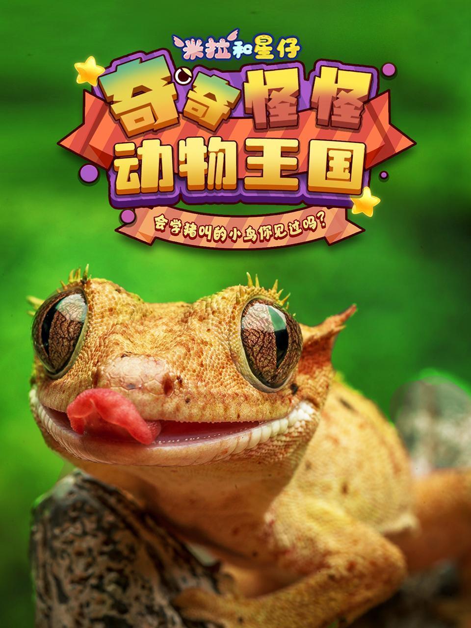 米拉和星仔：奇奇怪怪动物王国