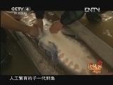 远方的家 北纬30°·中国行 第六十六集 宜昌 长江活化石《远方的家》 20120926