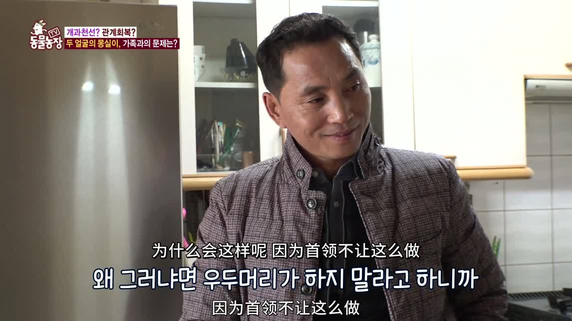 动物农场2020 天才犬or麻烦精