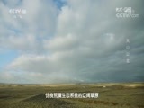 地理中国 《地理中国》 20180728 探秘准噶尔·天山以北