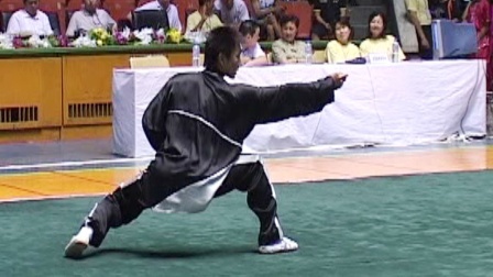 尘封赛事 2005年全国武术套路冠军赛传统项目比赛 男子拳术 041