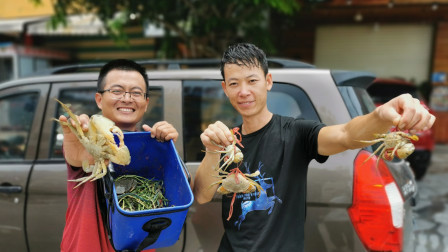 思乡渔夫 渔夫忽悠粉丝来赶海，体验被螃蟹狠夹...