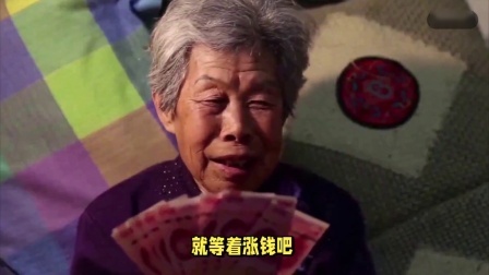 财产经济每日分享第十季 24年养老金继续上涨，低于3千涨9%，高于6千停涨可行吗