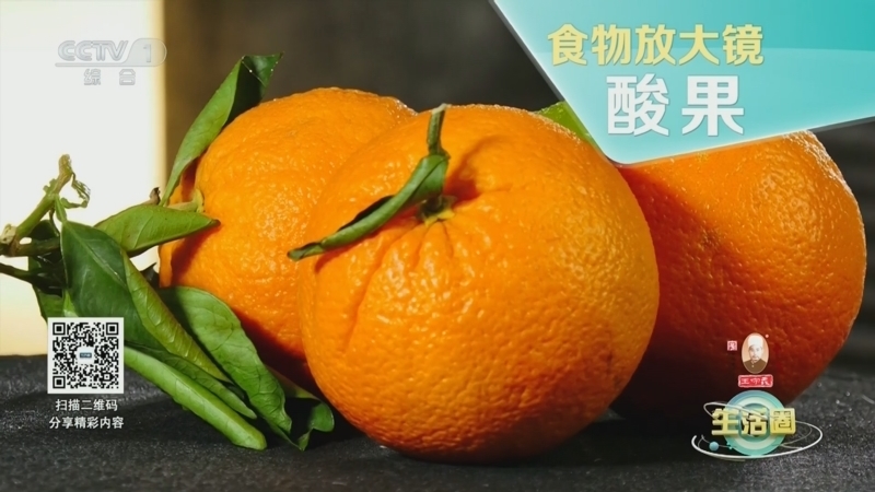 生活圈 《生活圈》 20241010