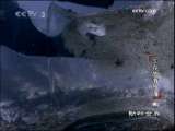 动物世界 动物世界 2009年 第221期