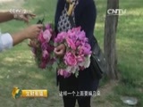 生财有道 《生财有道》 20150529 2015农家乐（第二季）——品味花香农家乐