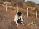 芝麻开门【央视】 芝麻开门 2010年 第25期