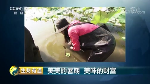 生财有道 《生财有道》 20190826 美美的暑期 美味的财富