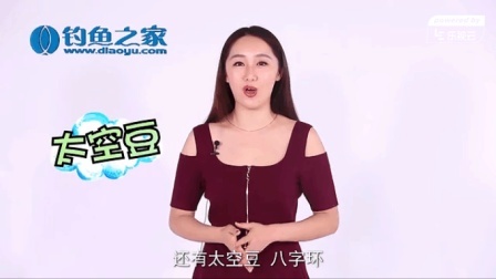 垂钓线组中必不可少的配件