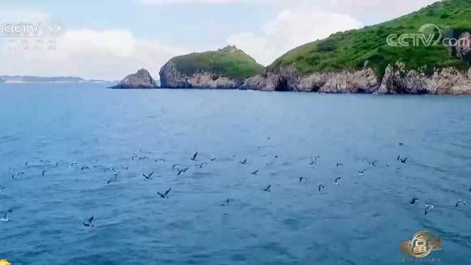 致富经 《致富经》 20200831 南麂岛上的老人与海
