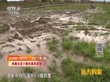 远方的家 《远方的家》 特别节目——亲历“一带一路” 俄罗斯的中国故事 20180720