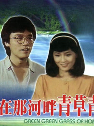 在那河畔的青草青 海报