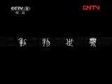 动物世界 《动物世界》 20111207