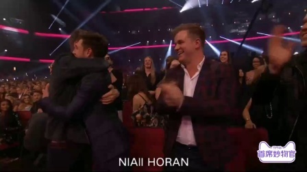 全美音乐奖 2017 最佳新艺人奖项 Niall Horan