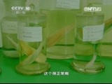 地理中国 《地理中国》 20150621 汨罗江畔（下）