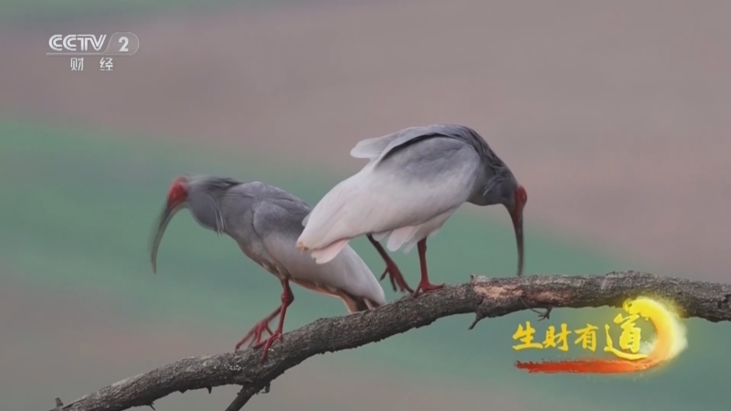 生财有道 《生财有道》 20240618 秦岭山水觅奇径