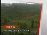 远方的家 《远方的家》 20110622 妙曼普洱寻好茶