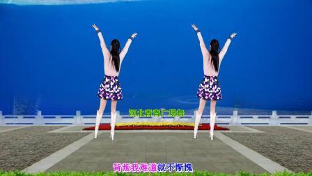 流行DJ广场舞及教学 第三季 心醉DJ广场舞《不该把爱想的太美》32步演示分解