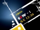 今日说法 《今日说法》 20161101 国际追逃特别报道 红色通缉令——“猎狐”非洲（下）