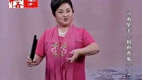 河南坠子 河南坠子 相府奇冤 二部