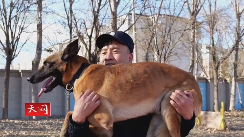 天网 《天网》 20250129 警犬出击（3）