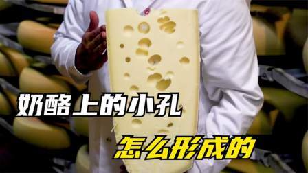 奶酪中的小洞是怎么来的？有的奶酪却没有，看完涨知识了