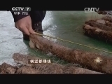 致富经 《致富经》 20150313 横竖都赚钱