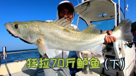 花80块买了2斤活虾海钓，狂拉70斤鲈鱼卖3000块，这买卖太划算