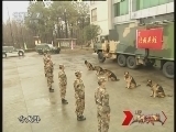 谁是终极英雄 《谁是终极英雄》 20120715 神犬出击