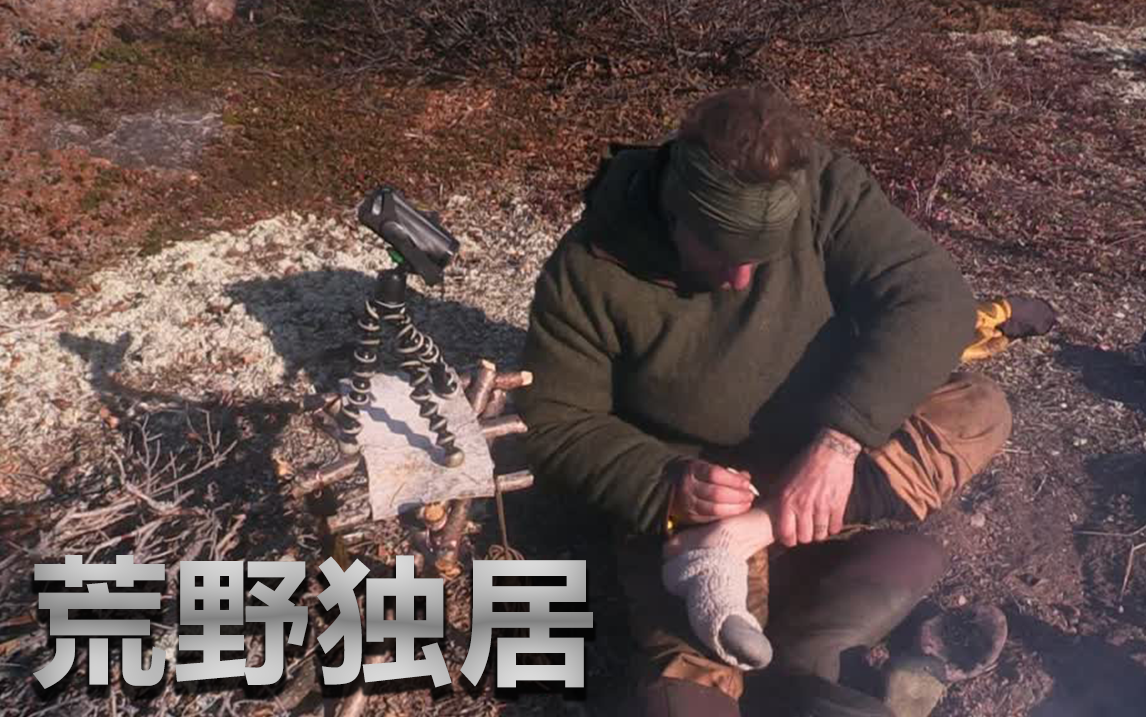 苍蝇