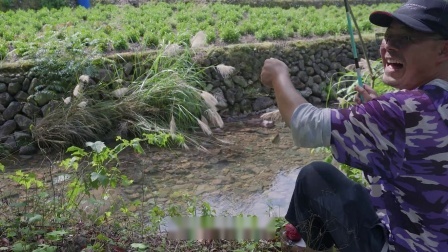 老曹在山中溪流里钓小鱼，摸螺蛳，做成菜味道真是鲜美无比！