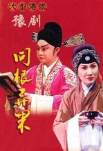 同根异果 海报