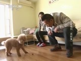 走近科学 《走近科学》 20150209 家有顽宠之我家有只“贪吃鬼”