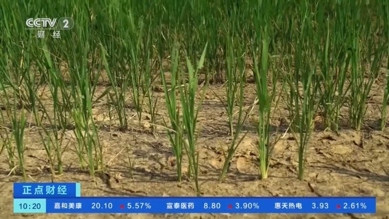 正点财经 《正点财经》 20260710 10:00