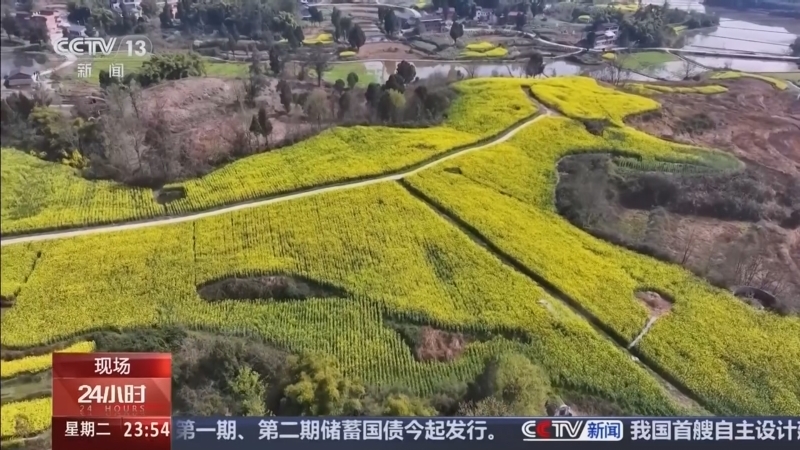 24小时 《24小时》 20260310