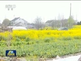 新闻联播 《新闻联播》 20170404 19:00