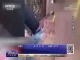 热线12 《热线12》 20171129