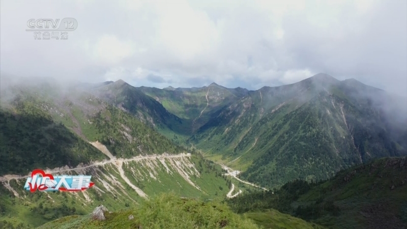 《小区大事》 20250817 边关卫士家国情