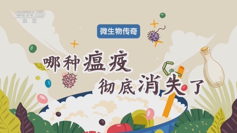 《百家说故事》 20251226