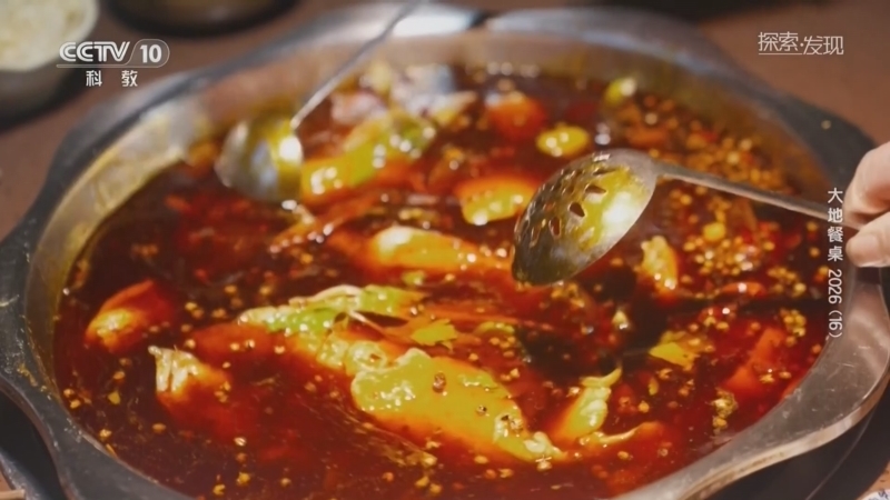 《探索·发现》 20260312 大地餐桌2026（16）