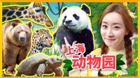 爱丽和故事 爱丽的上海动物园之行