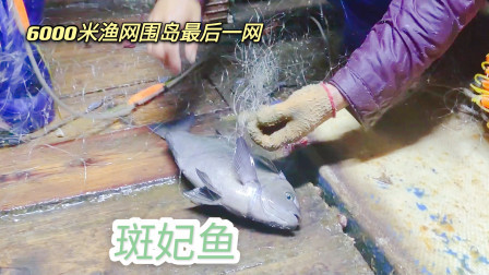 南澳岛赶海日记 用6千米渔网围岛最后一网，在外海两天两夜，总体收获还挺不错的
