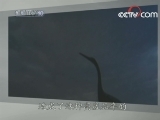 百家讲坛 马未都说陶瓷收藏（十五）瓷中珍品釉里红