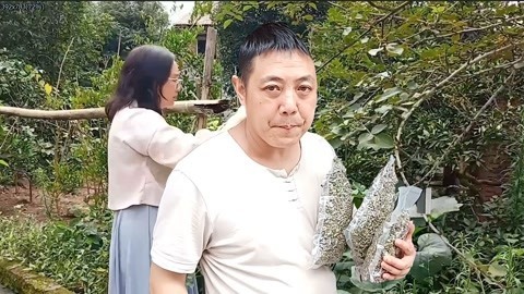 唱罢吹灯 农村大哥太厉害，在网上卖四川本地花椒，你知道在哪里吗