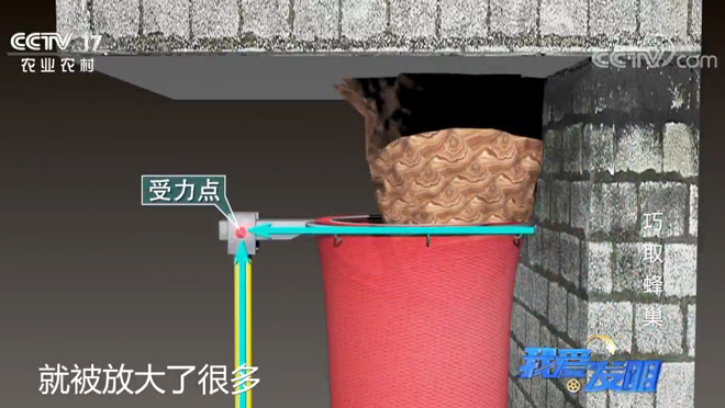 我爱发明 《我爱发明》 20200422 巧取蜂巢