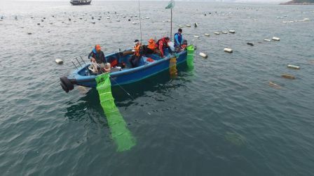 游钓中国 第三季 第4集 硬搏巨物不如四处猎奇 手竿出海也能钓起频率